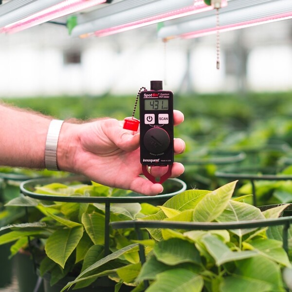 spoton-quantum-par-light-meter-led-light-greenhouse-innoquest-2019