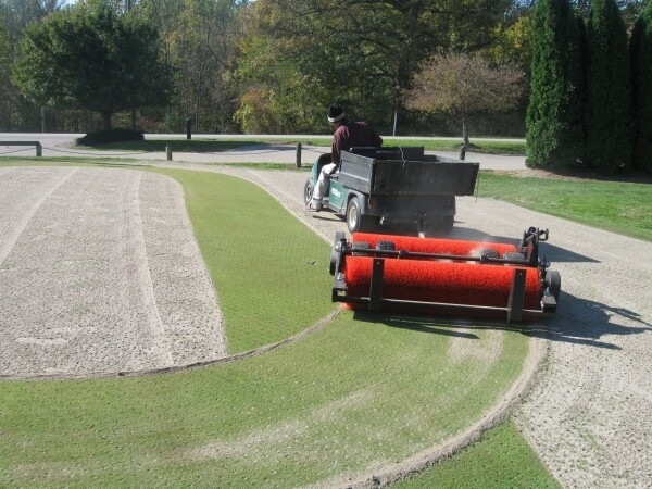 Sweep-N-Fill Turf Brush - Image 4
