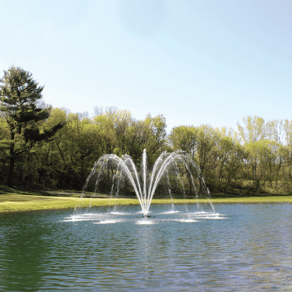 J Series Premium Fountain Palm Nozzle