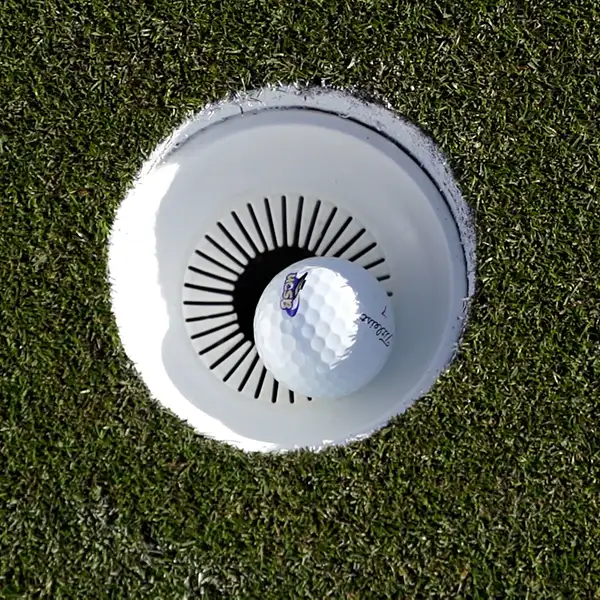 Today's Golf Cup II