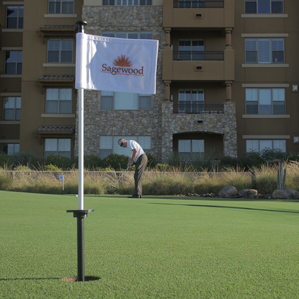 Practice Green Touch Free Pole - Image 3
