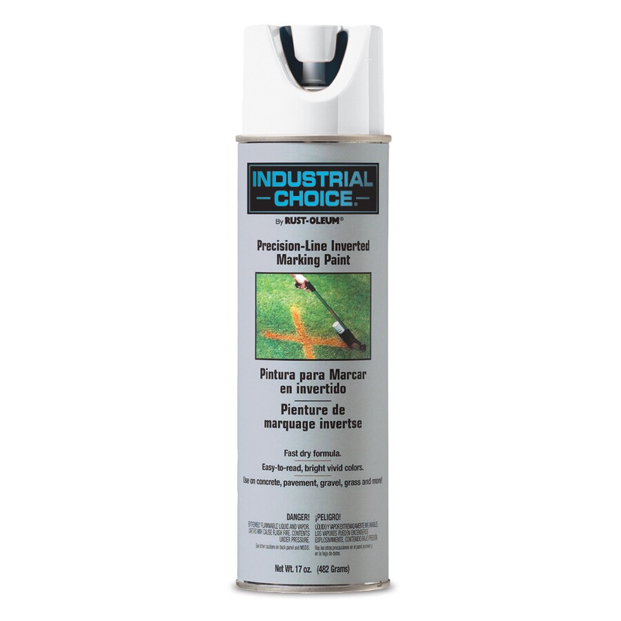 Rust-Oleum Turf Paint White