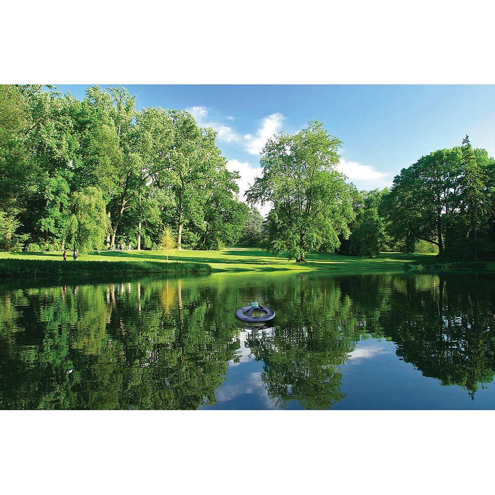 Gander Disbander Lake