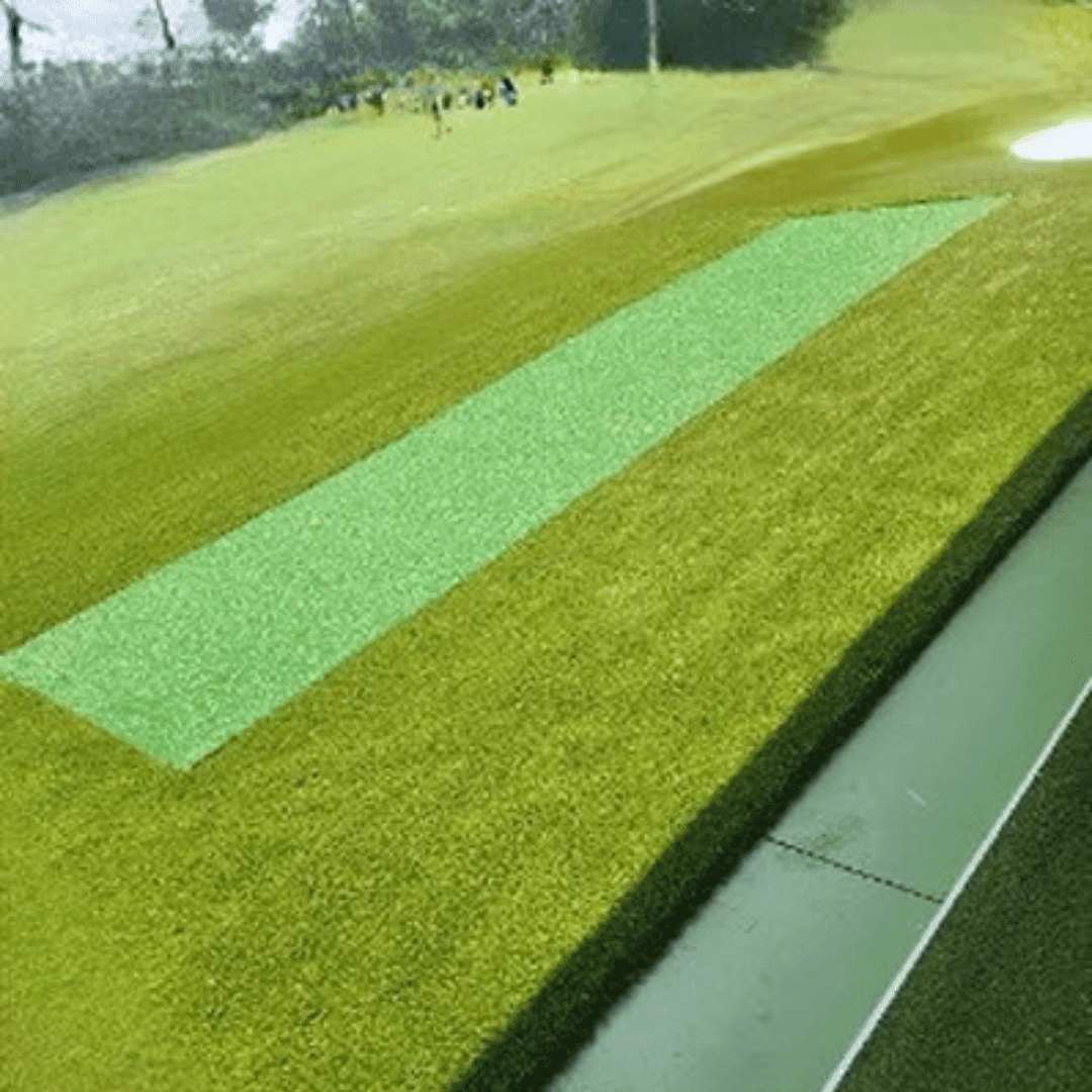 Monster mat golf mat