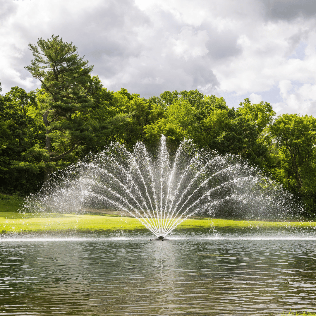 J Series Premium Fountain Fern Nozzle