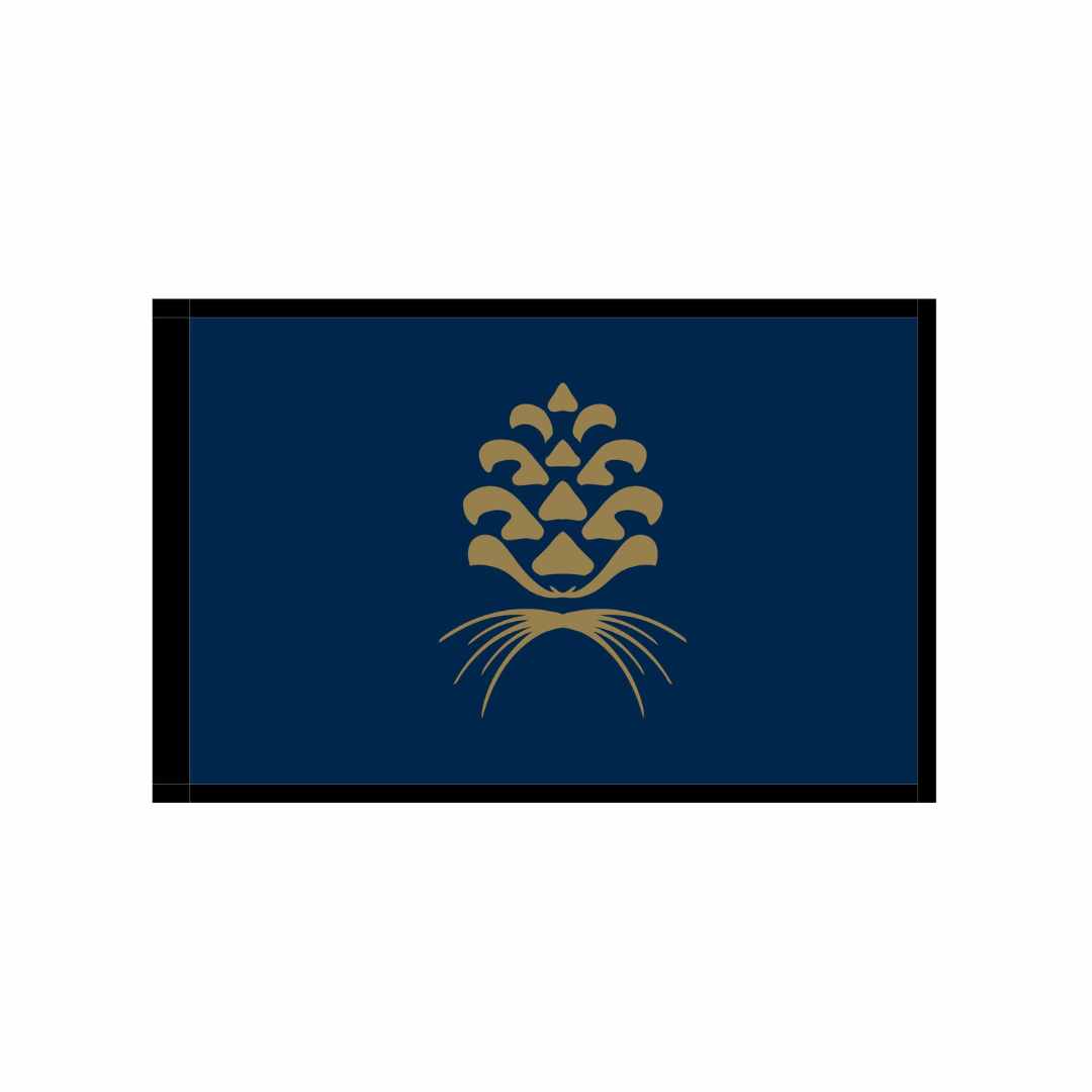 Custom Silkscreened Logo Regulation Pin Flags
