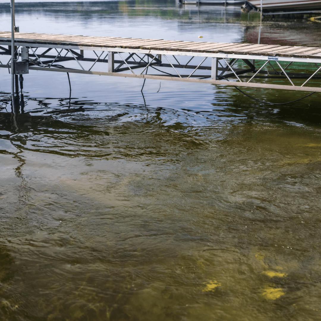 AquatiClear Water Circulator