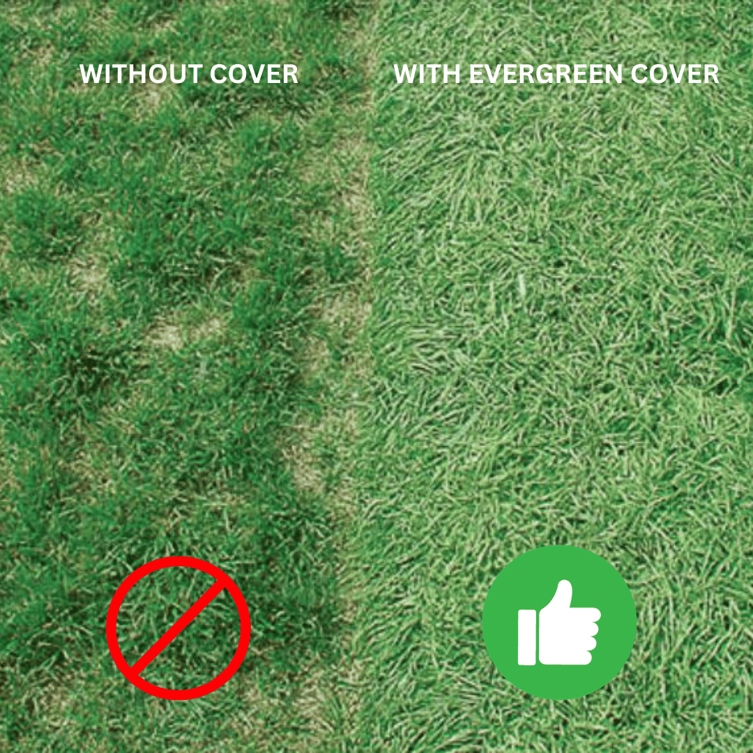 Evergreen Turf Cover
