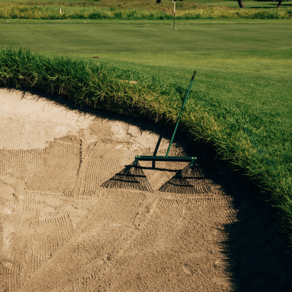 Dual Head Maintenance Rake 1