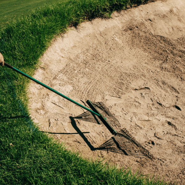 Dual Head Maintenance Rake 2