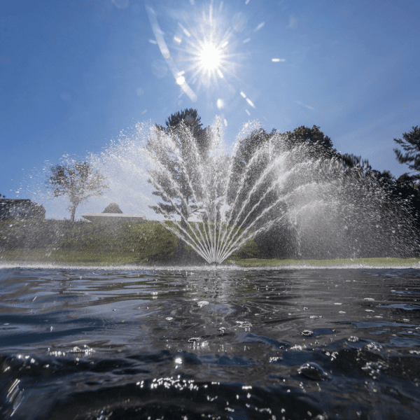 J Series Premium Fountain Fern Nozzle