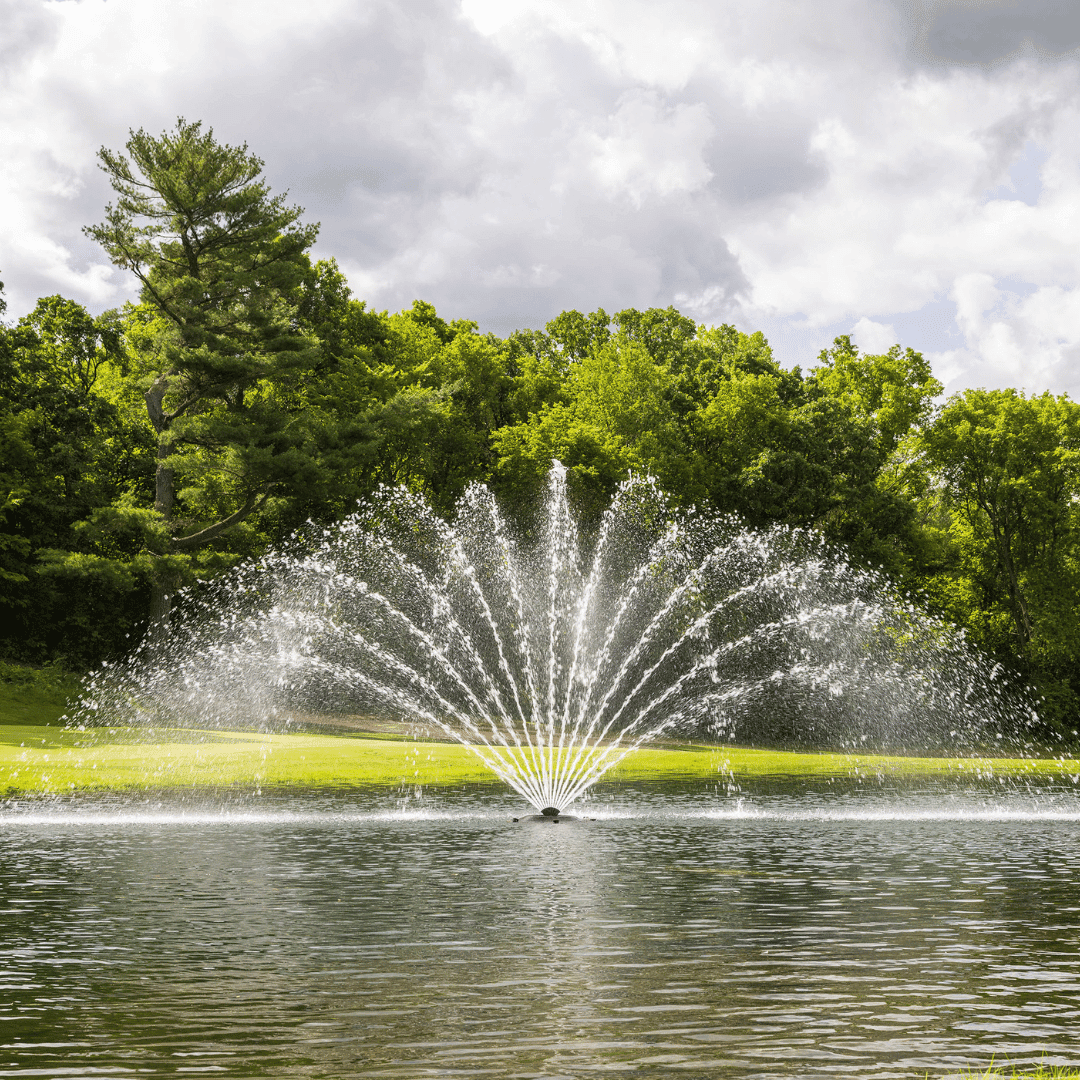 J Series Premium Fountain Fern Nozzle