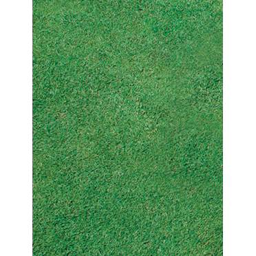TurfSpy Glasses - Image 2