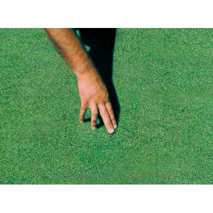 TurfSpy Glasses - Image 4