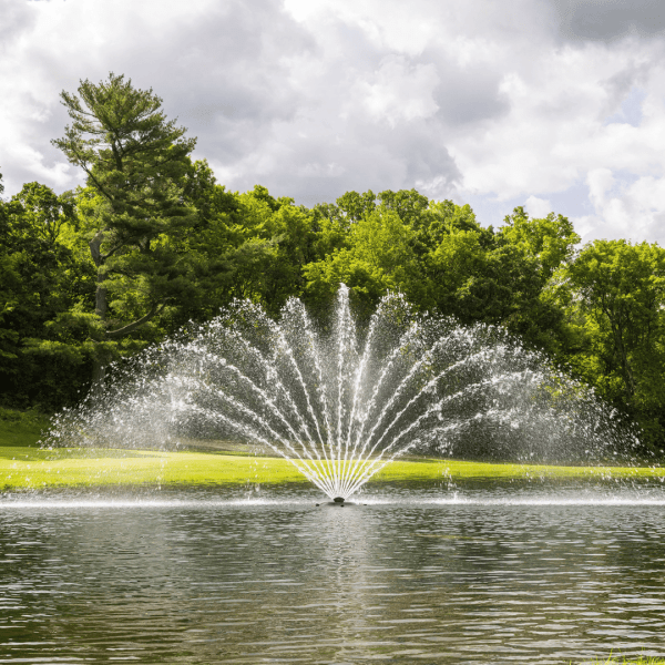 J Series Premium Fountain Fern Nozzle