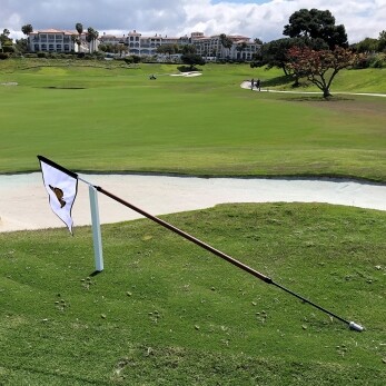 Greens Caddie Flag Saver