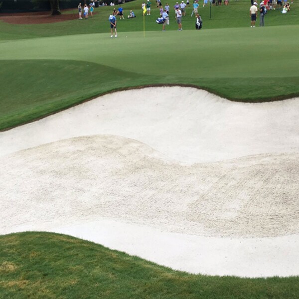 The Chief Bunker Rake - Standard Golf - Image 2