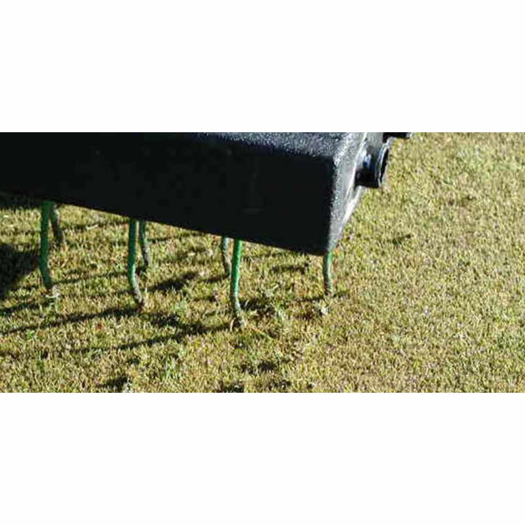 Spring Tine Rake for GreensGroomer - close up