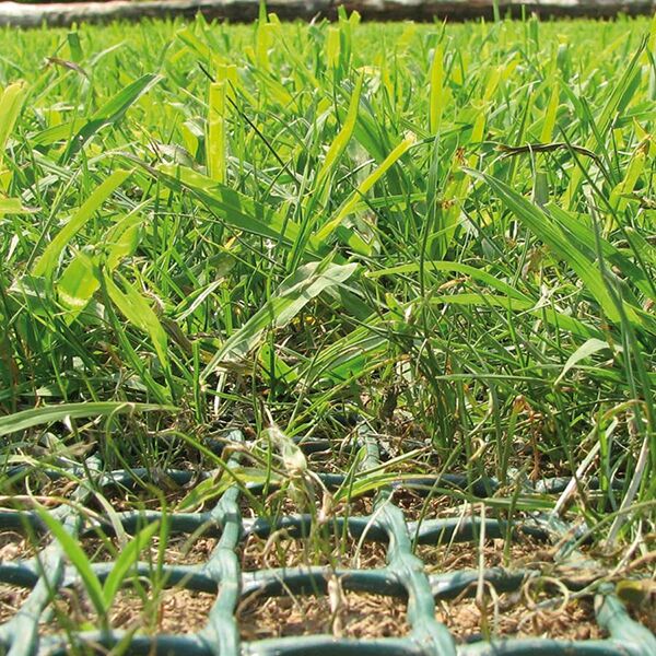 Tenax Turf Reinforcement Matting - Image 4